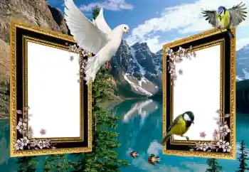 Foto-effetti della categoria Vari № 101225 Foto-effetti della categoria Vari № 101225