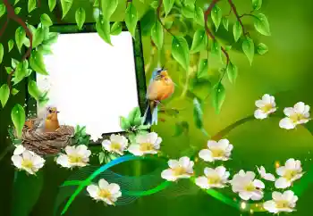 Foto-effetti della categoria Vari № 101227 Foto-effetti della categoria Vari № 101227