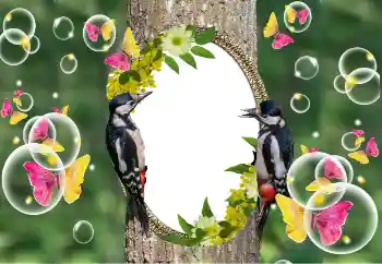 Foto-effetti della categoria Vari № 101320