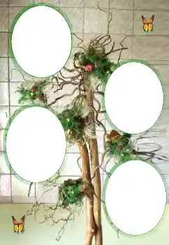 Foto-effetti della categoria Vari № 101323