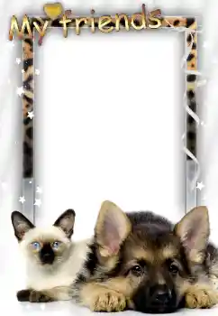 Scrittura sulla cornice: Miei amici Scrittura sulla cornice: Miei amici