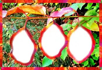 Foto-effetti della categoria Vari № 102598 Foto-effetti della categoria Vari № 102598