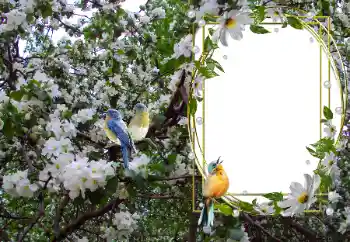 Foto-effetti della categoria Vari № 104101 Foto-effetti della categoria Vari № 104101