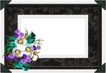 Foto-effetti della categoria Vari № 104106 Foto-effetti della categoria Vari № 104106