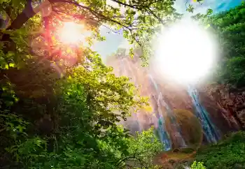 Foto-effetti della categoria Vari № 105565 Foto-effetti della categoria Vari № 105565