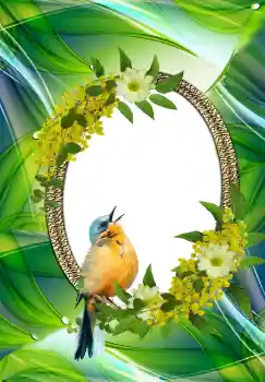 Foto-effetti della categoria Vari № 105576 Foto-effetti della categoria Vari № 105576