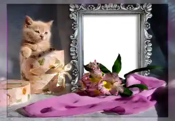 Foto-effetti della categoria Vari № 10835