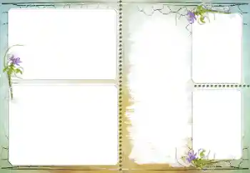 Foto-effetti della categoria Vari № 108719