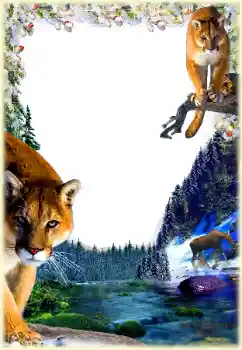 Foto-effetti della categoria Vari № 112361