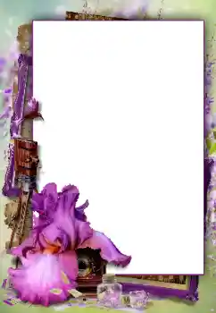 Foto-effetti della categoria Vari № 112460