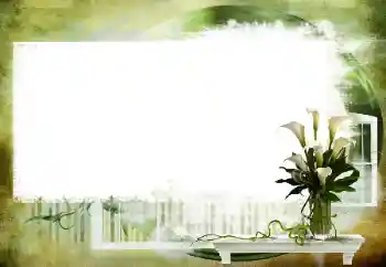 Foto-effetti della categoria Vari № 112461