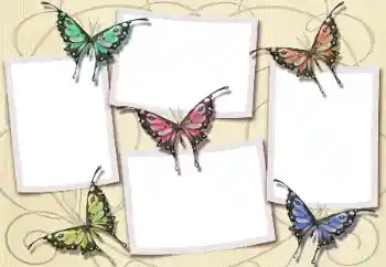 Foto-effetti della categoria Vari № 112580