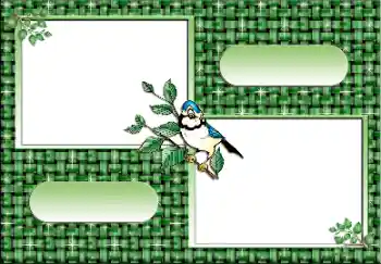 Foto-effetti della categoria Vari № 112641