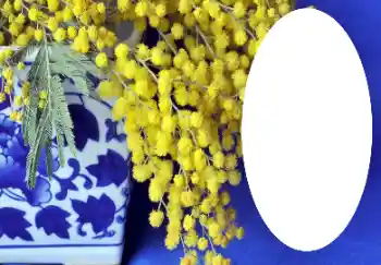 Foto-effetti della categoria Vari № 112719