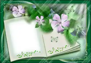 Foto-effetti della categoria Vari № 112842