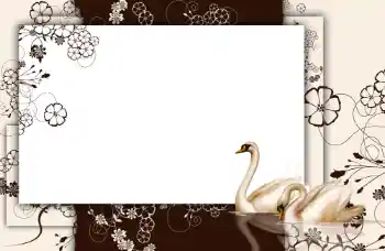 Foto-effetti della categoria Vari № 112848