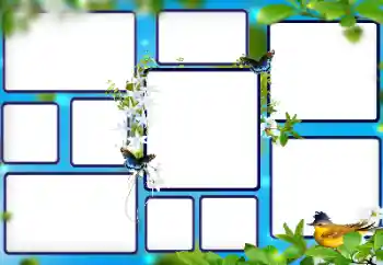 Foto-effetti della categoria Vari № 112853