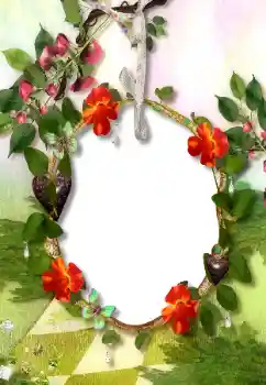 Foto-effetti della categoria Vari № 113118