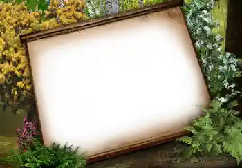 Foto-effetti della categoria Vari № 113134