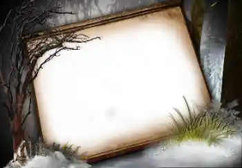 Foto-effetti della categoria Vari № 113136