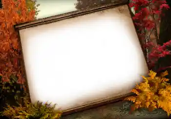 Foto-effetti della categoria Vari № 113138