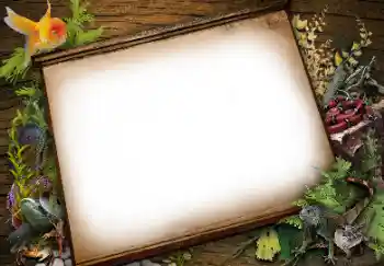 Foto-effetti della categoria Vari № 113139