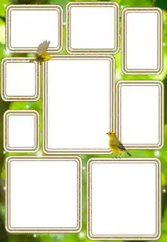 Foto-effetti della categoria Vari № 114577