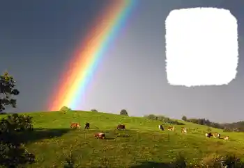 Foto-effetti della categoria Vari № 114599