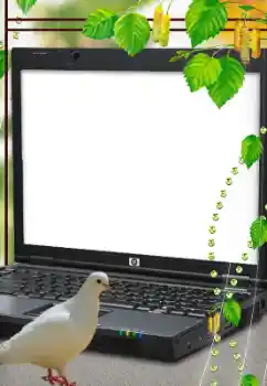 Foto-effetti della categoria Vari № 114633