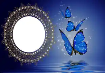 Foto-effetti della categoria Vari № 114746