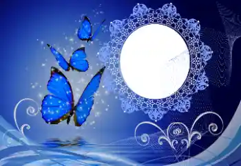 Foto-effetti della categoria Vari № 114747