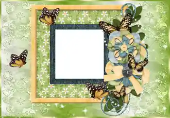 Foto-effetti della categoria Vari № 114753