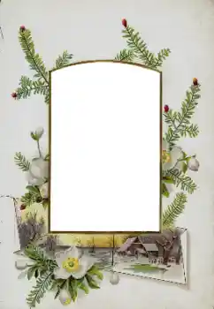 Foto-effetti della categoria Vari № 115833