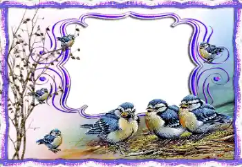 Foto-effetti della categoria Vari № 115877