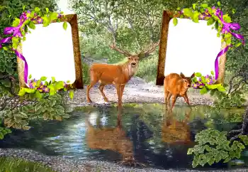 Foto-effetti della categoria Vari № 115890