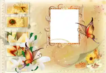 Foto-effetti della categoria Vari № 115894 Foto-effetti della categoria Vari № 115894