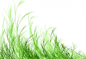 Foto-effetti della categoria Vari № 115932 Foto-effetti della categoria Vari № 115932