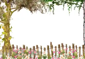 Foto-effetti della categoria Vari № 115954 Foto-effetti della categoria Vari № 115954