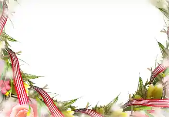 Foto-effetti della categoria Vari № 116196