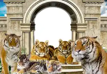 Foto-effetti della categoria Vari № 116203 Foto-effetti della categoria Vari № 116203