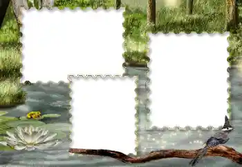 Foto-effetti della categoria Vari № 116216 Foto-effetti della categoria Vari № 116216