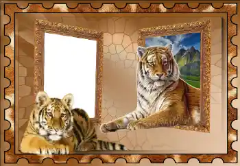 Foto-effetti della categoria Vari № 117310 Foto-effetti della categoria Vari № 117310