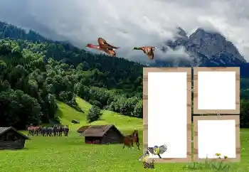 Foto-effetti della categoria Vari № 118908 Foto-effetti della categoria Vari № 118908