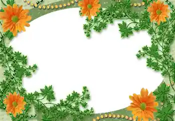 Foto-effetti della categoria Vari № 118929 Foto-effetti della categoria Vari № 118929