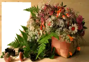 Foto-effetti della categoria Vari № 120020 Foto-effetti della categoria Vari № 120020