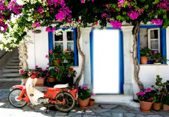 Foto-effetti della categoria Vari № 121131 Foto-effetti della categoria Vari № 121131