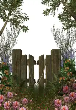 Foto-effetti della categoria Vari № 123212 Foto-effetti della categoria Vari № 123212