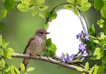 Foto-effetti della categoria Vari № 123219 Foto-effetti della categoria Vari № 123219