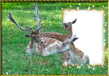 Foto-effetti della categoria Vari № 123221 Foto-effetti della categoria Vari № 123221