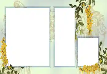 Foto-effetti della categoria Vari № 123242 Foto-effetti della categoria Vari № 123242